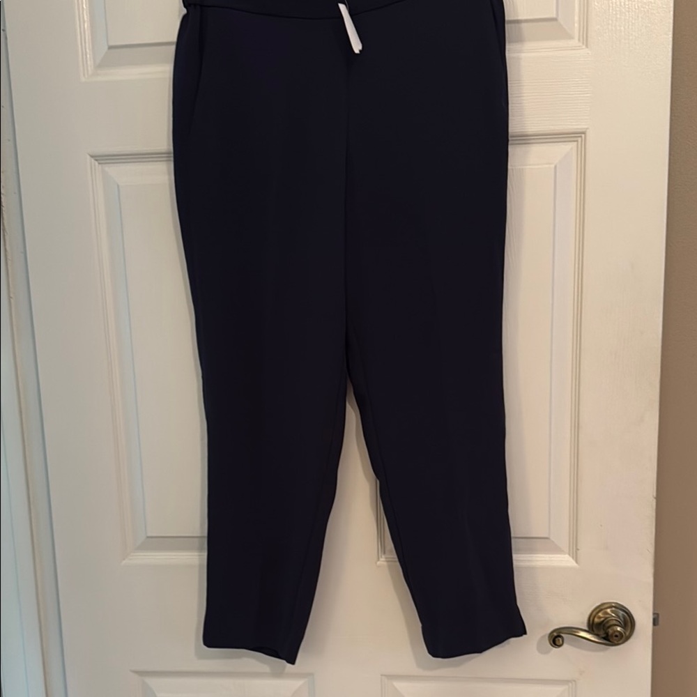 J. Crew Blue Ankle Cropped Pants